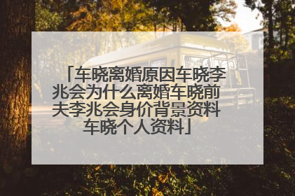车晓离婚原因车晓李兆会为什么离婚车晓前夫李兆会身价背景资料车晓个人资料