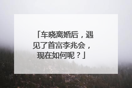 车晓离婚后,遇见了首富李兆会,现在如何呢?