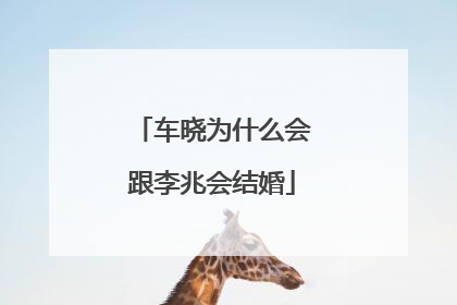 车晓为什么会跟李兆会结婚