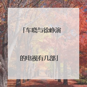 车晓与徐峥演的电视有几部