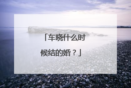 车晓什么时候结的婚?