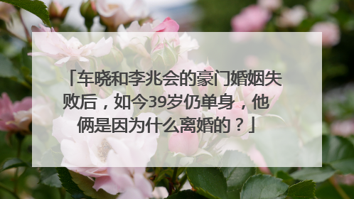 车晓和李兆会的豪门婚姻失败后,如今39岁仍单身,他俩是因为什么离婚的?