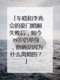 车晓和李兆会的豪门婚姻失败后，如今39岁仍单身，他俩是因为什么离婚的？