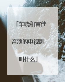 车晓和雷佳音演的电视剧叫什么