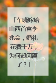 车晓嫁给山西首富李兆会，婚礼花费千万，为何却闪离了？