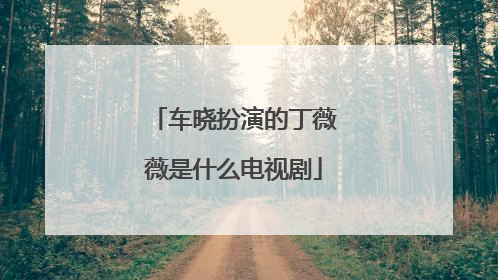 车晓扮演的丁薇薇是什么电视剧