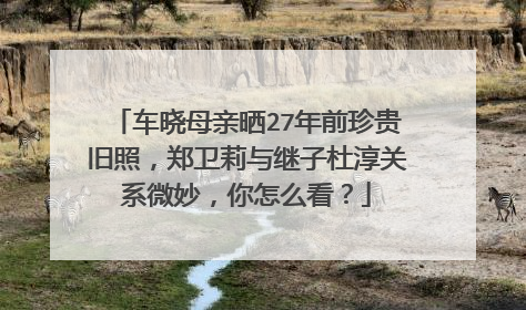 车晓母亲晒27年前珍贵旧照，郑卫莉与继子杜淳关系微妙，你怎么看？