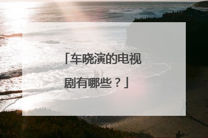 车晓演的电视剧有哪些？