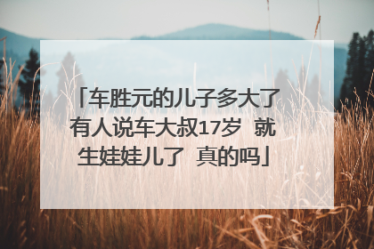 车胜元的儿子多大了 有人说车大叔17岁 就生娃娃儿了 真的吗