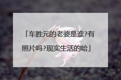车胜元的老婆是谁?有照片吗?现实生活的哈