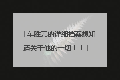 车胜元的详细档案想知道关于他的一切!!