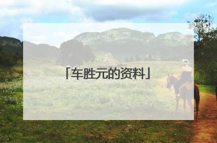 车胜元的资料