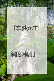 车胜元主演的韩剧