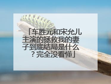 车胜元和宋允儿主演的拯救我的妻子到底结局是什么?完全没看懂