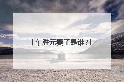 车胜元妻子是谁?