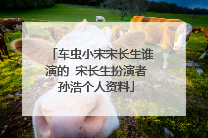 车虫小宋宋长生谁演的 宋长生扮演者孙浩个人资料
