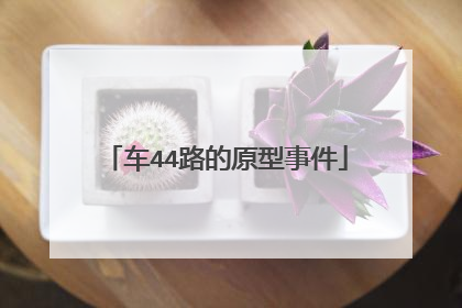 车44路的原型事件