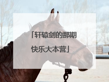 轩辕剑的那期快乐大本营