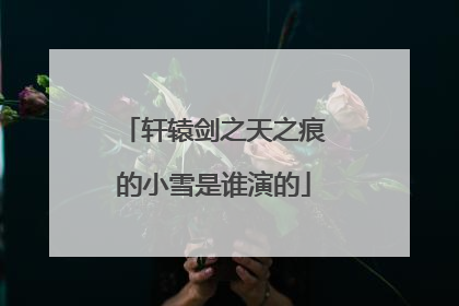 轩辕剑之天之痕的小雪是谁演的