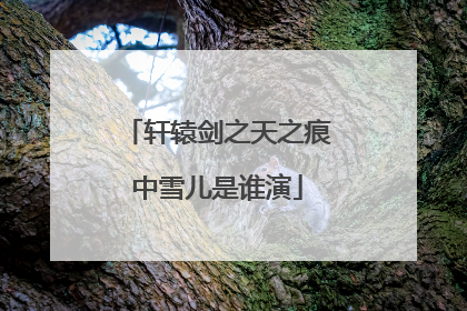 轩辕剑之天之痕中雪儿是谁演