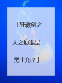 轩辕剑之天之痕谁是男主角？