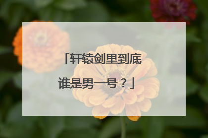 轩辕剑里到底谁是男一号？