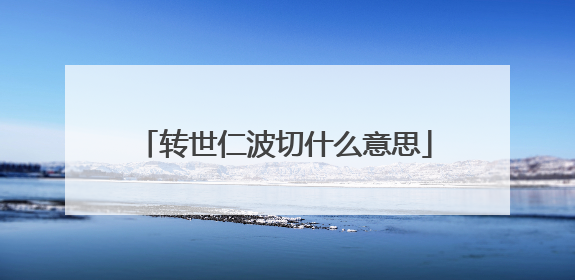 转世仁波切什么意思