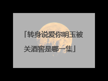 转身说爱你明玉被关酒窖是哪一集