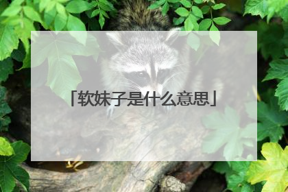 软妹子是什么意思