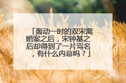轰动一时的双宋离婚案之后,宋钟基之后却得到了一片骂名,有什么内幕吗?