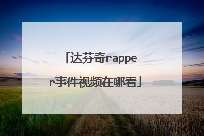 达芬奇rapper事件视频在哪看