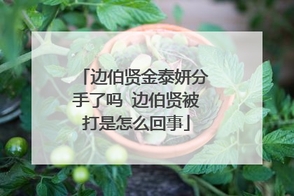边伯贤金泰妍分手了吗 边伯贤被打是怎么回事
