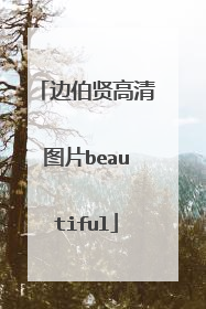 边伯贤高清图片beautiful