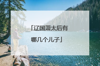 辽国萧太后有哪几个儿子