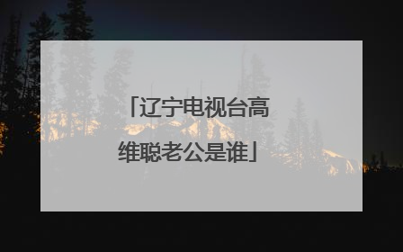 辽宁电视台高维聪老公是谁
