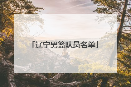 辽宁男篮队员名单