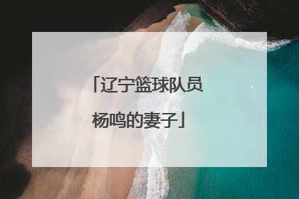 辽宁篮球队员杨鸣的妻子