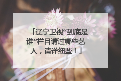 辽宁卫视“到底是谁”栏目请过哪些艺人,请详细些!