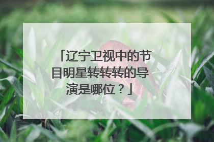 辽宁卫视中的节目明星转转转的导演是哪位？