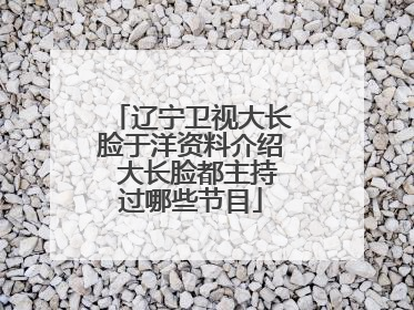 辽宁卫视大长脸于洋资料介绍 大长脸都主持过哪些节目
