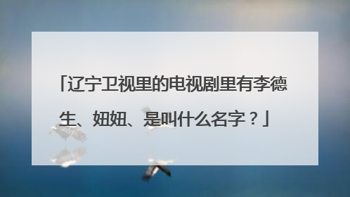 辽宁卫视里的电视剧里有李德生、妞妞、是叫什么名字？