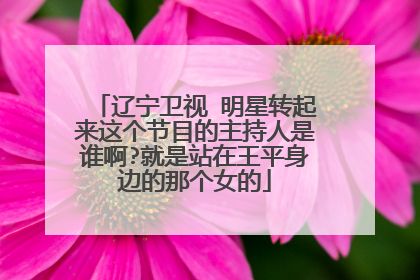 辽宁卫视 明星转起来这个节目的主持人是谁啊?就是站在王平身边的那个女的