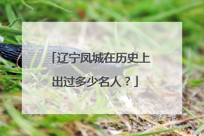辽宁凤城在历史上出过多少名人？