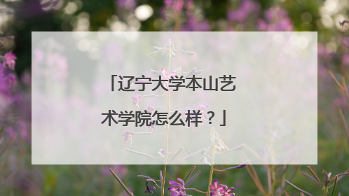 辽宁大学本山艺术学院怎么样？