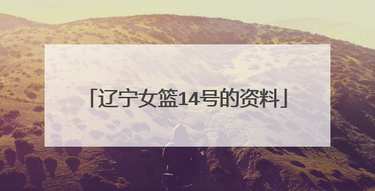 辽宁女篮14号的资料