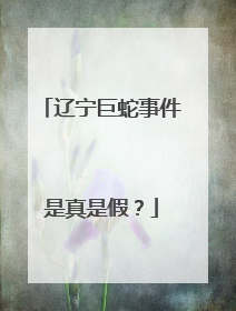 辽宁巨蛇事件是真是假?