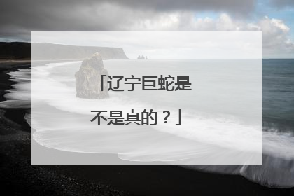 辽宁巨蛇是不是真的？