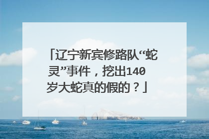 辽宁新宾修路队“蛇灵”事件,挖出140岁大蛇真的假的?