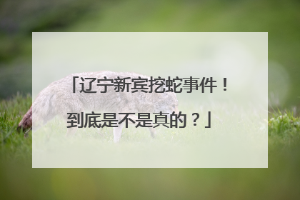 辽宁新宾挖蛇事件!到底是不是真的?