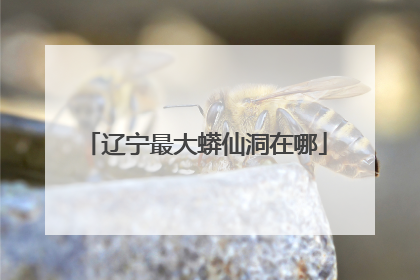 辽宁最大蟒仙洞在哪